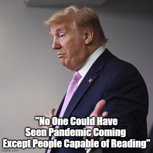 "No One Could Have Seen Pandemic Coming Except People Capable Of Reading" |  "No One Could Have Seen Pandemic Coming 
Except People Capable of Reading" | image tagged in trump is ignorant,trump is a liar,dolt donald,dimwit donald,trump doesn't read,chauncey trump | made w/ Imgflip meme maker