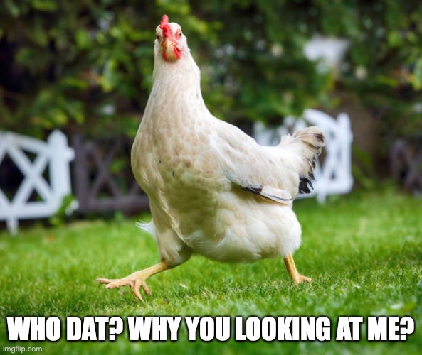 Funny Chicken | WHO DAT? WHY YOU LOOKING AT ME? | image tagged in chicken,funny,running,question | made w/ Imgflip meme maker