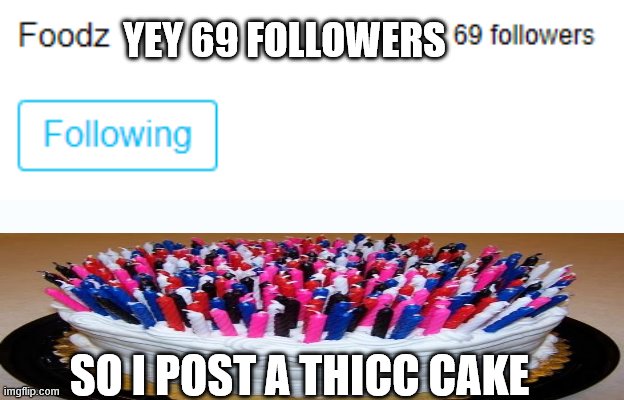success | YEY 69 FOLLOWERS; SO I POST A THICC CAKE | image tagged in foodz | made w/ Imgflip meme maker