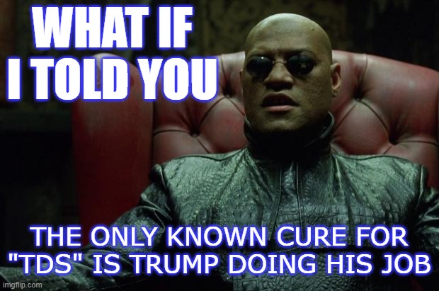 I was in remission this weekend, but then Trump retweeted a bunch of nonsense ending in #FireFauci so yeah | WHAT IF I TOLD YOU; THE ONLY KNOWN CURE FOR "TDS" IS TRUMP DOING HIS JOB | image tagged in matrix morpheus,trump derangement syndrome,trump is a moron,trump is an asshole,donald trump is an idiot,do your job | made w/ Imgflip meme maker