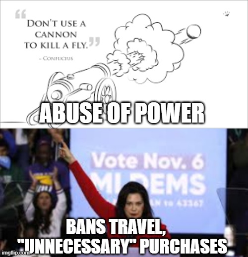 Gov. Whittmet abuses power | ABUSE OF POWER; BANS TRAVEL,      "UNNECESSARY" PURCHASES | image tagged in don't use a canon to kill a fly,abuse,power | made w/ Imgflip meme maker