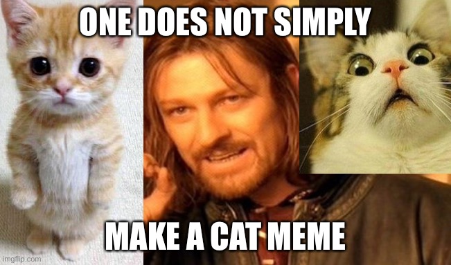 One Does Not Simply Meme | ONE DOES NOT SIMPLY; MAKE A CAT MEME | image tagged in memes,one does not simply | made w/ Imgflip meme maker