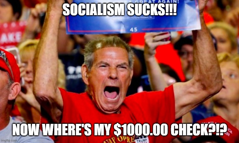SOCIALISM SUCKS!!! NOW WHERE'S MY $1000.00 CHECK?!? | image tagged in stimulus | made w/ Imgflip meme maker