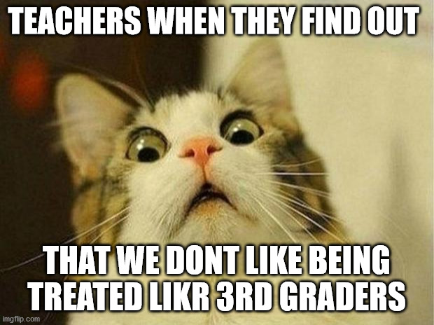 Scared Cat | TEACHERS WHEN THEY FIND OUT; THAT WE DONT LIKE BEING TREATED LIKR 3RD GRADERS | image tagged in memes,scared cat | made w/ Imgflip meme maker
