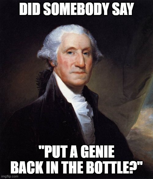George Washington Meme | DID SOMEBODY SAY; "PUT A GENIE BACK IN THE BOTTLE?" | image tagged in memes,george washington | made w/ Imgflip meme maker