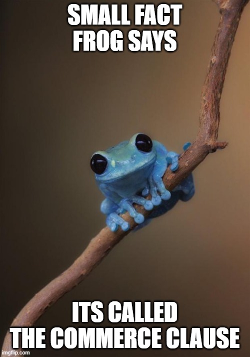 small fact frog | SMALL FACT FROG SAYS ITS CALLED THE COMMERCE CLAUSE | image tagged in small fact frog | made w/ Imgflip meme maker