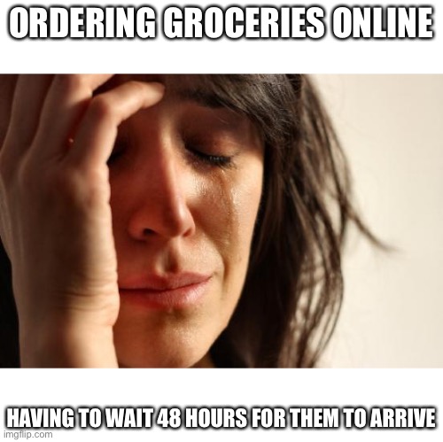 First World Problems | ORDERING GROCERIES ONLINE; HAVING TO WAIT 48 HOURS FOR THEM TO ARRIVE | image tagged in memes,first world problems | made w/ Imgflip meme maker