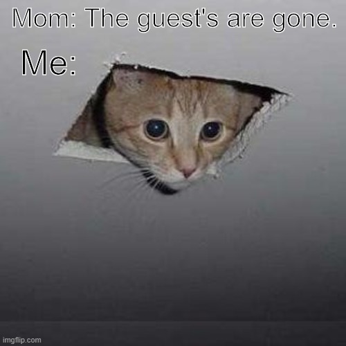 Ceiling Cat | Mom: The guest's are gone. Me: | image tagged in memes,ceiling cat | made w/ Imgflip meme maker