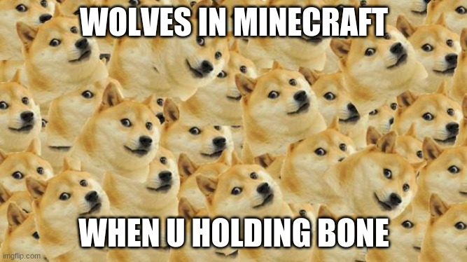 Multi Doge | WOLVES IN MINECRAFT; WHEN U HOLDING BONE | image tagged in memes,multi doge | made w/ Imgflip meme maker