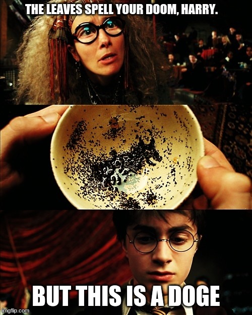 The almighty spell! - Harry Potter Memes