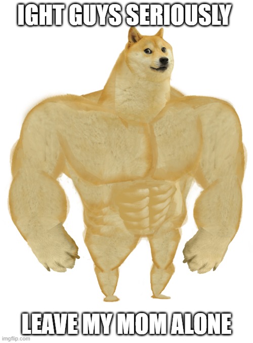 Swole Doge | IGHT GUYS SERIOUSLY; LEAVE MY MOM ALONE | image tagged in swole doge | made w/ Imgflip meme maker