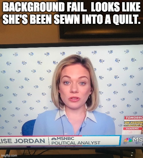 Background Fails | BACKGROUND FAIL.  LOOKS LIKE SHE'S BEEN SEWN INTO A QUILT. | image tagged in background fails | made w/ Imgflip meme maker