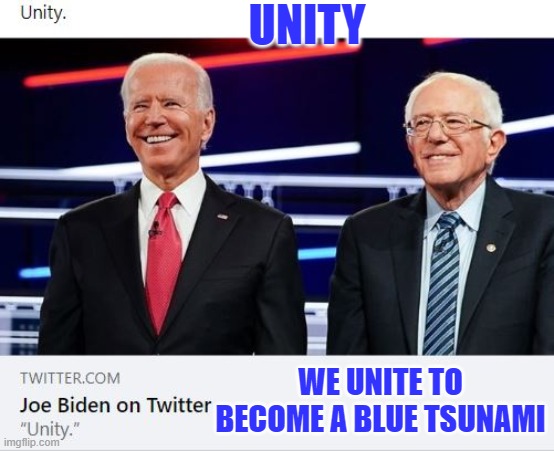UNITY | UNITY; WE UNITE TO BECOME A BLUE TSUNAMI | image tagged in election 2020,joe biden,bernie sanders,blue tsunami | made w/ Imgflip meme maker