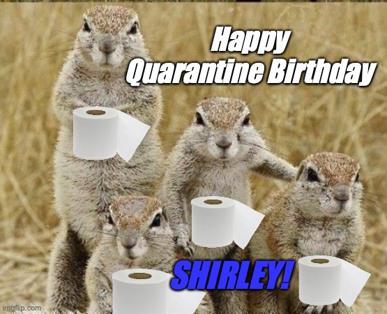 Squirrels with TP | Happy Quarantine Birthday; SHIRLEY! | image tagged in squirrel gang,covid-19,toilet paper | made w/ Imgflip meme maker