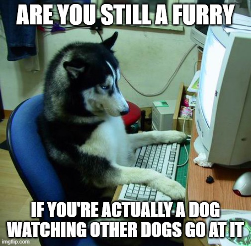 Good question? | ARE YOU STILL A FURRY; IF YOU'RE ACTUALLY A DOG WATCHING OTHER DOGS GO AT IT | image tagged in memes,i have no idea what i am doing,dog,dogs,furries | made w/ Imgflip meme maker