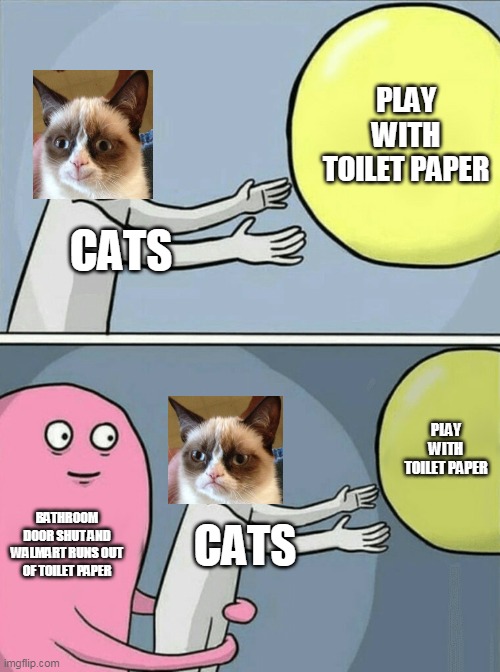 Running Away Balloon Meme | PLAY WITH TOILET PAPER; CATS; PLAY WITH TOILET PAPER; BATHROOM DOOR SHUT AND WALMART RUNS OUT OF TOILET PAPER; CATS | image tagged in memes,running away balloon | made w/ Imgflip meme maker