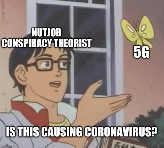don't believe anything these pillicks say | NUTJOB CONSPIRACY THEORIST; 5G; IS THIS CAUSING CORONAVIRUS? | image tagged in memes,is this a pigeon | made w/ Imgflip meme maker
