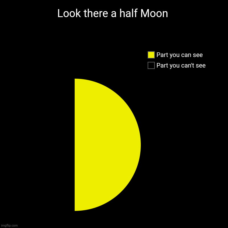 Look there a half Moon | Part you can't see, Part you can see | image tagged in charts,pie charts | made w/ Imgflip chart maker