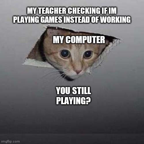Ceiling Cat | MY TEACHER CHECKING IF IM PLAYING GAMES INSTEAD OF WORKING; MY COMPUTER; YOU STILL PLAYING? | image tagged in memes,ceiling cat | made w/ Imgflip meme maker