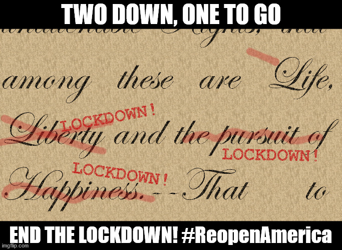 The lockdowns have proven to be a colossal failure.  Let's reopen, give the flu proper handling, and NEVER DO THIS AGAIN! | TWO DOWN, ONE TO GO; END THE LOCKDOWN! #ReopenAmerica | image tagged in reopenamerica,declaration of independence,lockdown,economy,liberal logic | made w/ Imgflip meme maker