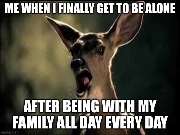 Deer Scream | ME WHEN I FINALLY GET TO BE ALONE; AFTER BEING WITH MY FAMILY ALL DAY EVERY DAY | image tagged in deer scream | made w/ Imgflip meme maker