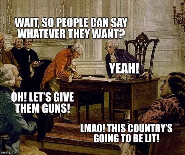 Basically what they thought | image tagged in constitution | made w/ Imgflip meme maker