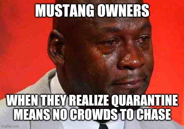 crying michael jordan | MUSTANG OWNERS; WHEN THEY REALIZE QUARANTINE MEANS NO CROWDS TO CHASE | image tagged in crying michael jordan | made w/ Imgflip meme maker