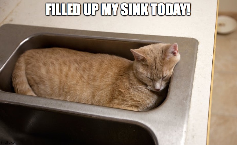 Everybody knows cats are liquid! | FILLED UP MY SINK TODAY! | image tagged in memes,cats,liquid,cats are liquid,cute | made w/ Imgflip meme maker
