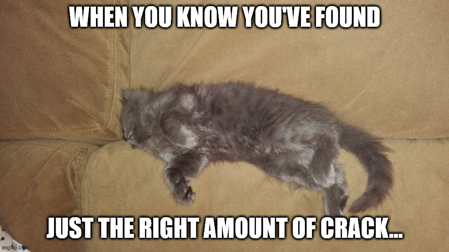 Kitty Krack | WHEN YOU KNOW YOU'VE FOUND; JUST THE RIGHT AMOUNT OF CRACK... | image tagged in kitty krack | made w/ Imgflip meme maker