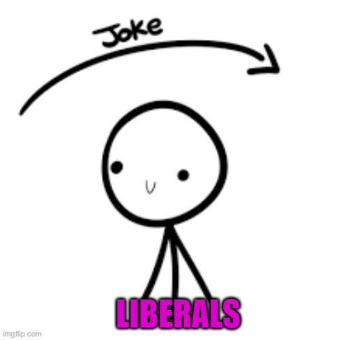 Joke Over Head | LIBERALS | image tagged in joke over head | made w/ Imgflip meme maker