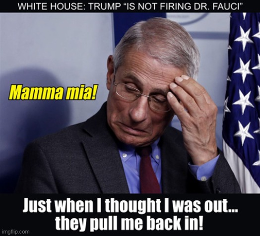 What Do We Have To Lose? | image tagged in memes,coronavirus,dr fauci,donald trump,politics | made w/ Imgflip meme maker