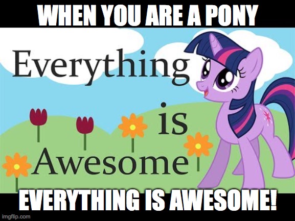 Ponies are awesome! | WHEN YOU ARE A PONY; EVERYTHING IS AWESOME! | image tagged in memes,ponies,awesome,my little pony,xanderbrony | made w/ Imgflip meme maker