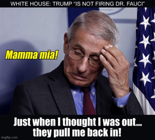 What Have We Got To Lose? | image tagged in memes,coronavirus,dr fauci,donald trump,politics | made w/ Imgflip meme maker