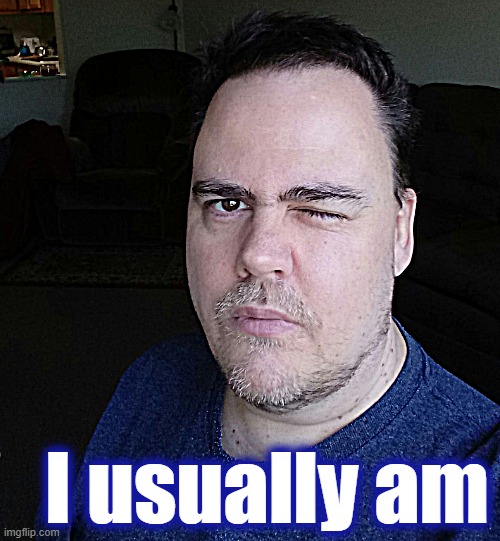 wink | I usually am | image tagged in wink | made w/ Imgflip meme maker