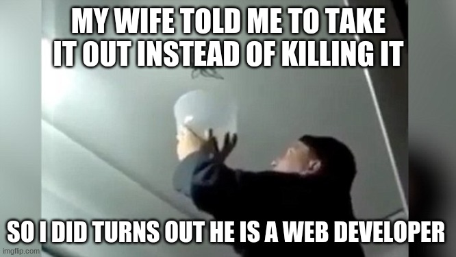 spider | MY WIFE TOLD ME TO TAKE IT OUT INSTEAD OF KILLING IT; SO I DID TURNS OUT HE IS A WEB DEVELOPER | image tagged in success kid | made w/ Imgflip meme maker