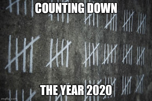 2020 prison | COUNTING DOWN; THE YEAR 2020 | image tagged in coronavirus | made w/ Imgflip meme maker