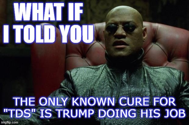 I was in remission this weekend, and then he fucked the pooch again. Color me surprised. | image tagged in trump,trump derangement syndrome,do your job,president trump,trump is a moron,trump is an asshole | made w/ Imgflip meme maker