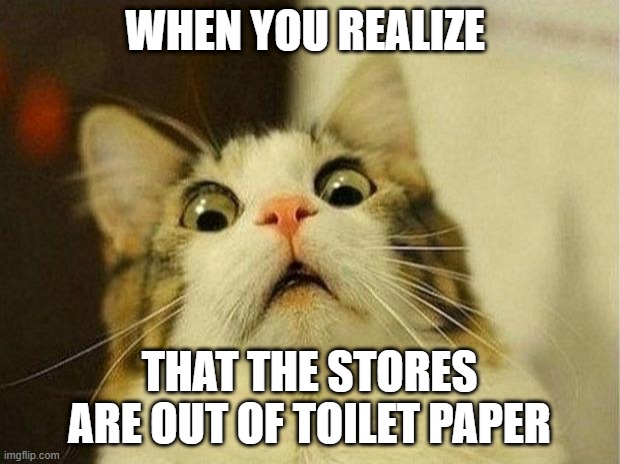 Scared Cat Meme | WHEN YOU REALIZE; THAT THE STORES ARE OUT OF TOILET PAPER | image tagged in memes,scared cat | made w/ Imgflip meme maker