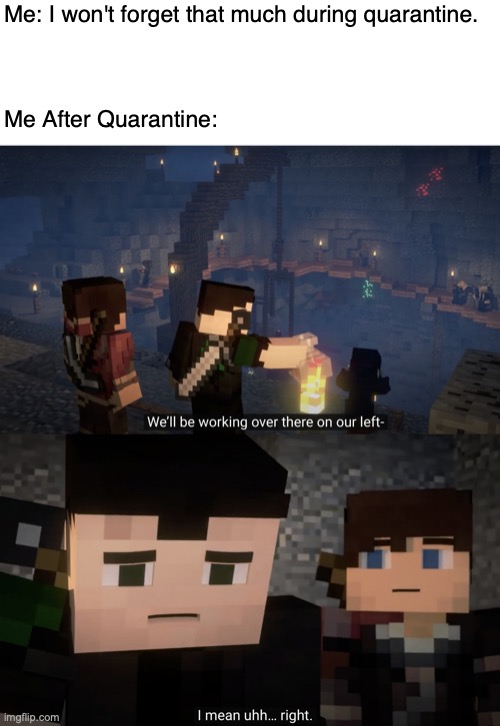Me: I won't forget that much during quarantine.
 
 
 
Me After Quarantine: | image tagged in minecraft,songs of war | made w/ Imgflip meme maker