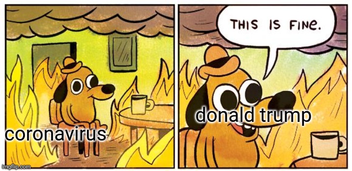 This Is Fine | donald trump; coronavirus | image tagged in memes,this is fine | made w/ Imgflip meme maker
