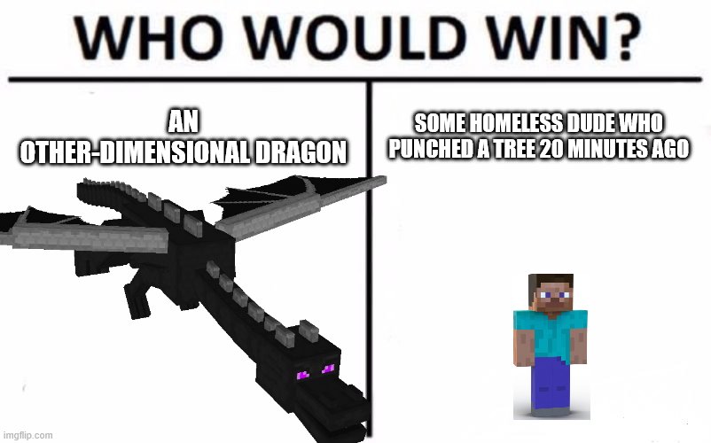 AN OTHER-DIMENSIONAL DRAGON; SOME HOMELESS DUDE WHO PUNCHED A TREE 20 MINUTES AGO | image tagged in who would win,memes | made w/ Imgflip meme maker