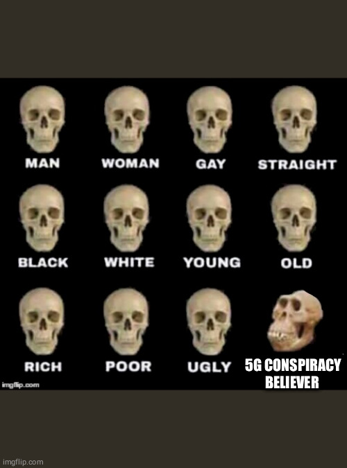 idiot skull | 5G CONSPIRACY BELIEVER | image tagged in idiot skull | made w/ Imgflip meme maker