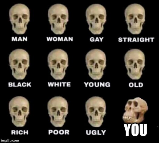 idiot skull | YOU 😋 | image tagged in idiot skull | made w/ Imgflip meme maker