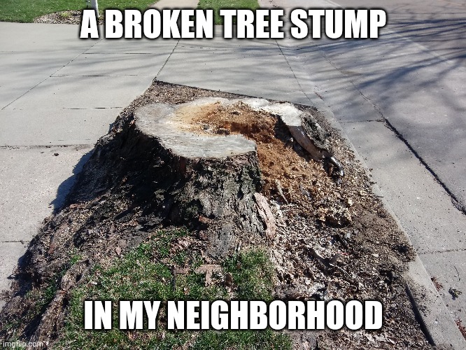I found this broken tree stump the other day when i took a walk! | A BROKEN TREE STUMP; IN MY NEIGHBORHOOD | image tagged in memes,photo,tree stump,broken | made w/ Imgflip meme maker