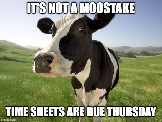 cow | IT'S NOT A MOOSTAKE; TIME SHEETS ARE DUE THURSDAY | image tagged in cow | made w/ Imgflip meme maker