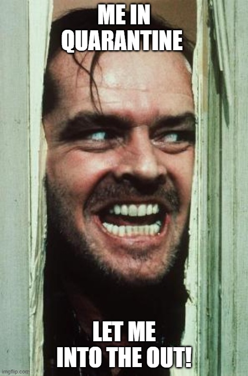 Here's Johnny | ME IN QUARANTINE; LET ME INTO THE OUT! | image tagged in memes,here's johnny | made w/ Imgflip meme maker