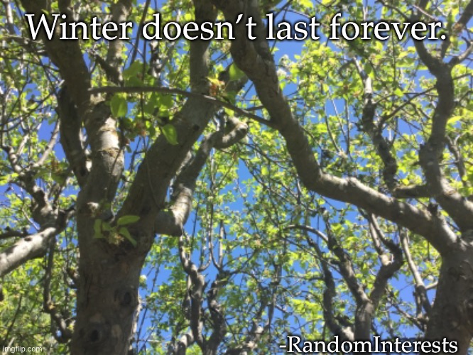 Winter doesn’t last forever. -RandomInterests | made w/ Imgflip meme maker