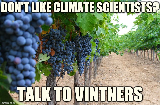Vintners, farmers, ranchers, fishermen, foresters: They'll tell you what's up. They have to know, or they'll go out of business. | DON'T LIKE CLIMATE SCIENTISTS? TALK TO VINTNERS | image tagged in vineyard,wine,grapes,climate change,global warming,climate | made w/ Imgflip meme maker