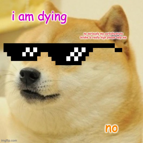 Doge Meme | i am dying; no seriously my carbohydrate intake is really high please help me; no | image tagged in memes,doge | made w/ Imgflip meme maker