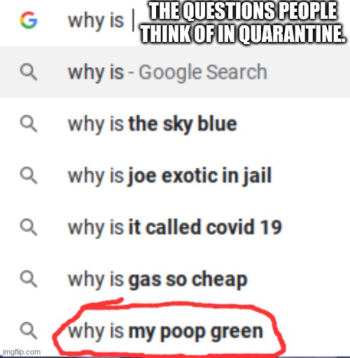 People are weird | THE QUESTIONS PEOPLE THINK OF IN QUARANTINE. | image tagged in potty humor | made w/ Imgflip meme maker